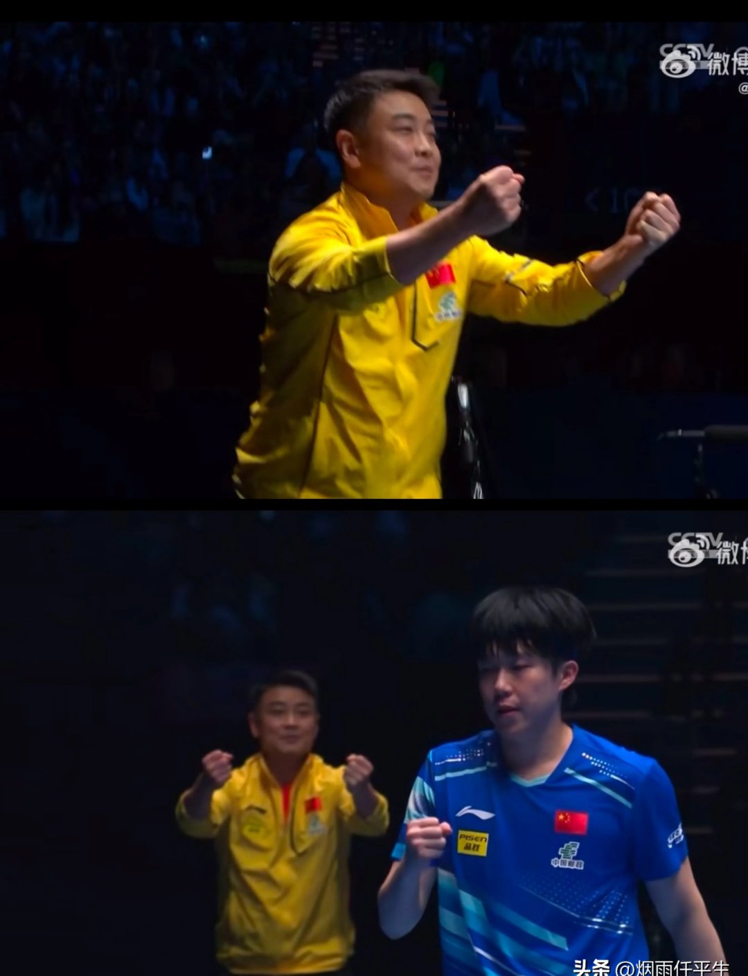 日本乒乓球队绝地反击中国乒乓球队，王皓关键制胜的简单介绍