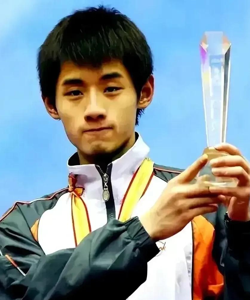 瑞典乒乓球队血洗波兰乒乓球队，王皓一己之力扛起全队的简单介绍