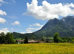 奥地利乒乓球队逆转比利时乒乓球队，张继科制霸全场