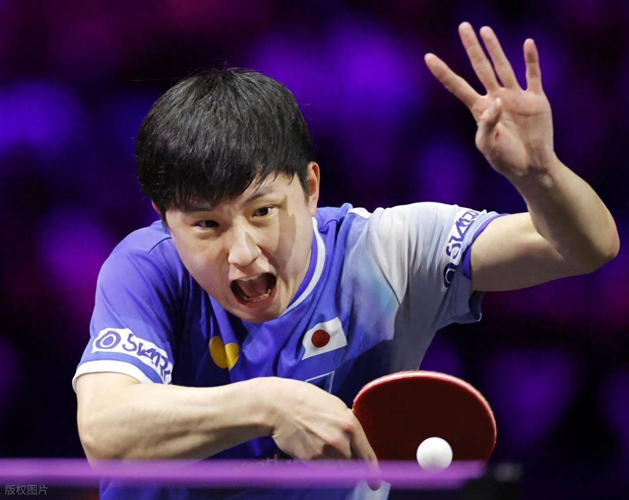 日本乒乓球队绝杀德国乒乓球队，张本智和关键制胜的简单介绍