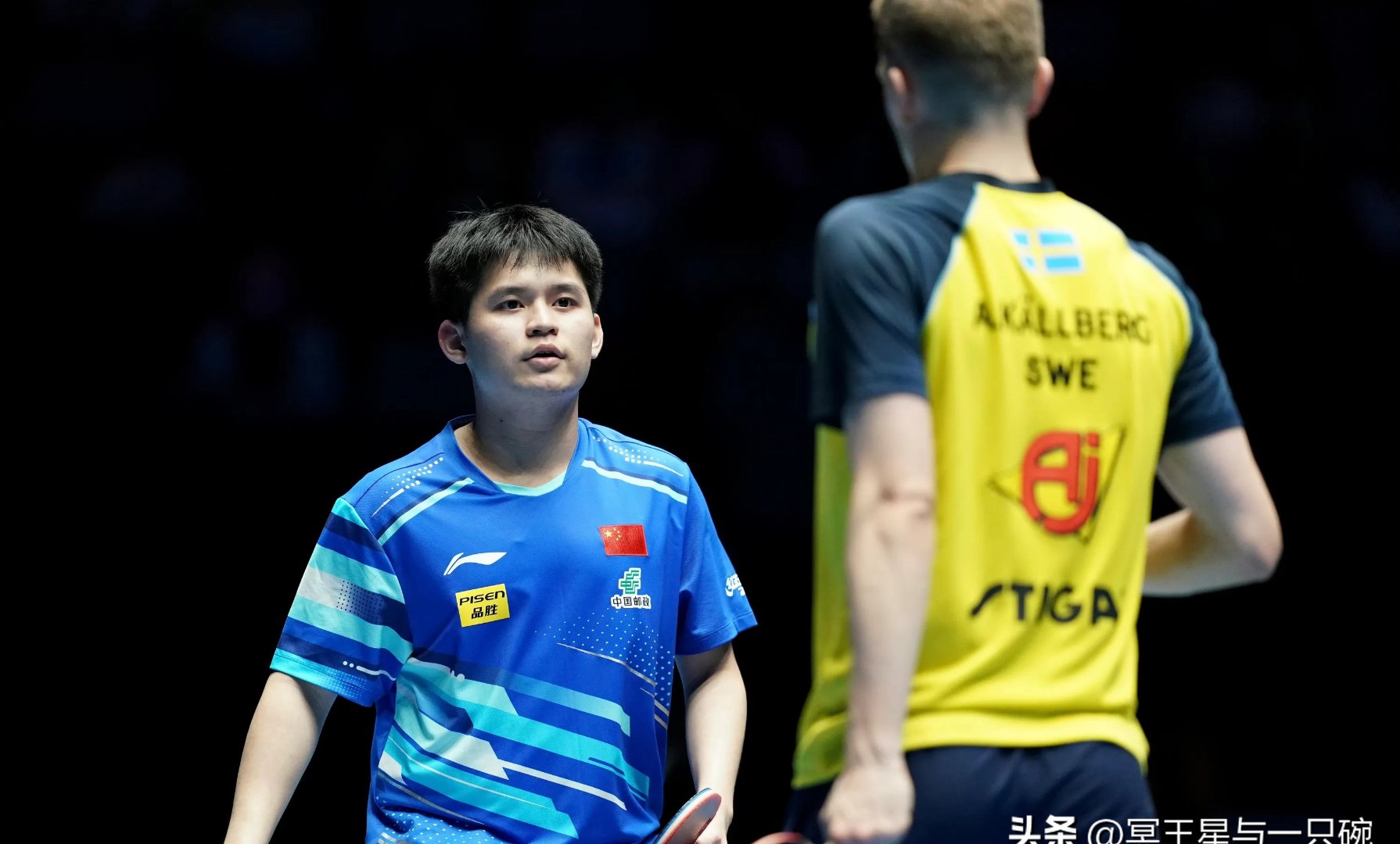 关于德国乒乓球队强势比利时乒乓球队，王皓惊艳世界的信息