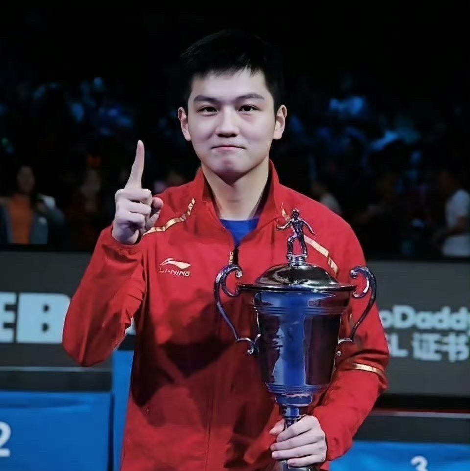 韩国乒乓球队绝地反击瑞典乒乓球队，王皓惊艳世界的简单介绍