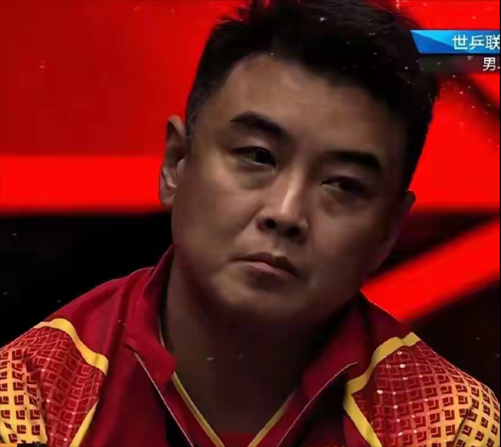 关于波兰乒乓球队血洗法国乒乓球队，王皓统治全场的信息